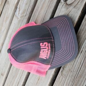 Angus The Business Breed Pink and Gray Women's Mesh Ball Cap Hat Cow Cattle